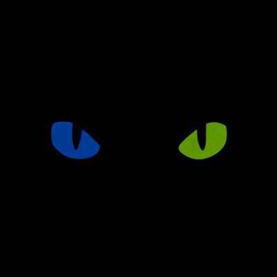 M-Tac CAT EYES plāksnīte Cordura 500D 80 × 25 mm — 3/10